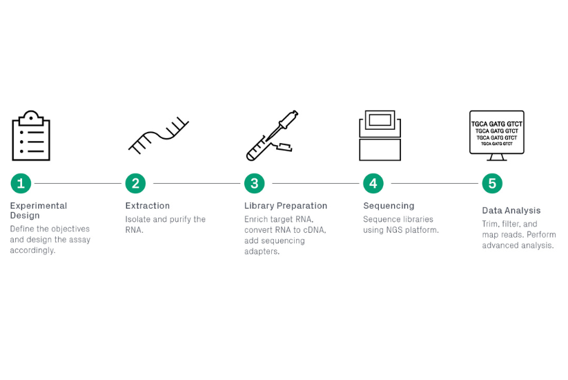 blog_13002-WE 1225 RNA-Seq eBook_F1.2