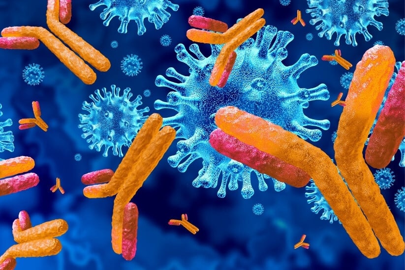 Antibody Discovery: Why Early Design Matters