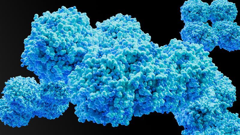 Why Choose GENEWIZ as Your Olink Certified Provider