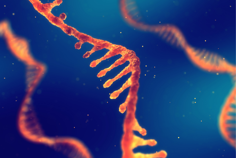 short vs long read rna seq