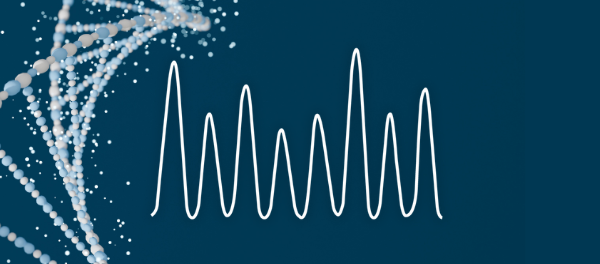 Troubleshooting DNA Templates with Sanger Sequencing