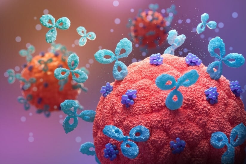 Antibody Engineering: How Therapeutic Antibodies Are Designed, Built and Optimized